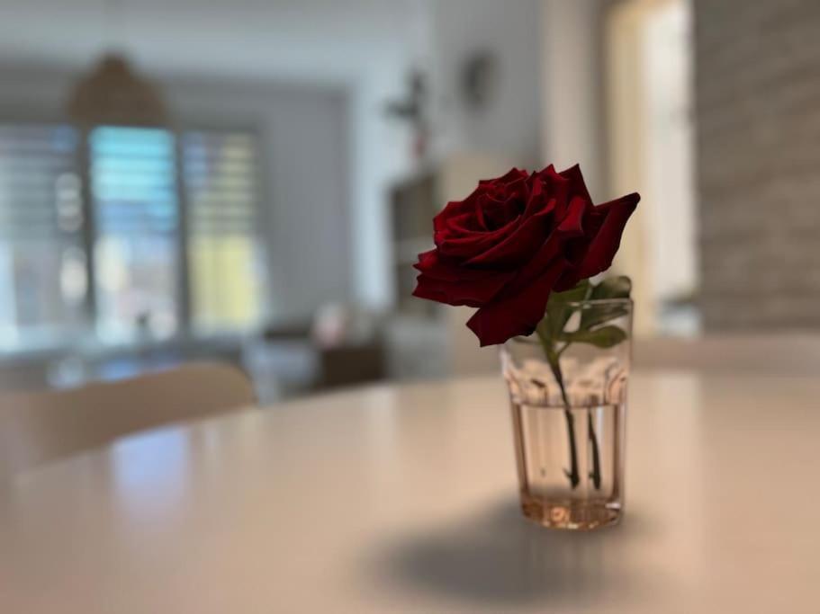 Family Friendly Downtown Apart Sofia Bagian luar foto